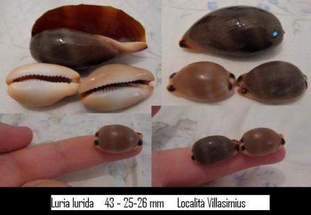 Come  possibile.....